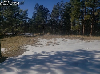 206 Eagles Perch Place, Woodland Park, CO 80863