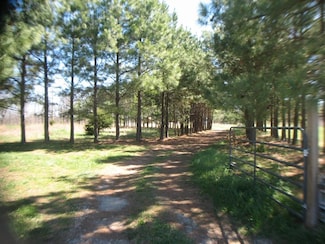 15316 Northview Rd, Elkins, AR 72727