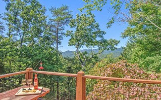 498 Cohutta Mountain Rd, Cherry Log, GA 30522