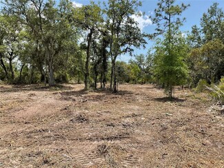 tbd NE 69 St, Williston, FL 32696