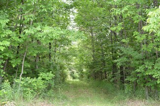 13585 Steffensen St, Gowen, MI 49326