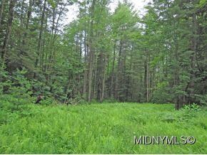102 Ac Avery Rd, Stratford, NY 13470