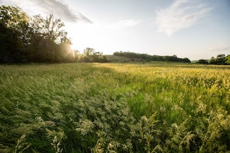 Tbd 290th St, Soldier, IA 51572