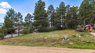 234 Fireside St, Pagosa Springs, CO 81147