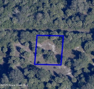 718 Burgess St, Palm Bay, FL 32908