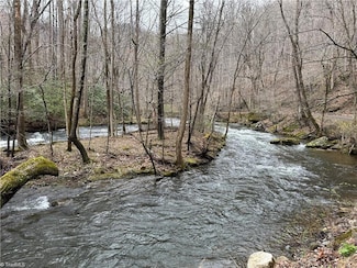 3199 Kibler Valley Rd, Ararat, VA 24053