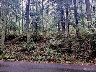 39 High Cliff Ln, Bellingham, WA 98229
