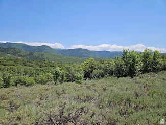 155 Woolf Hollow Rd Unit 155, Fairview, UT 84647