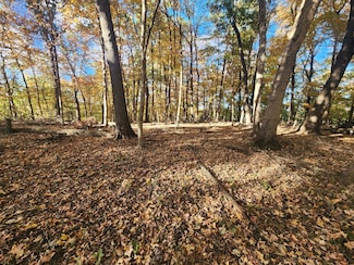 Lot 1783/84 Blueberry Dr, Roberts Township, IL 61375