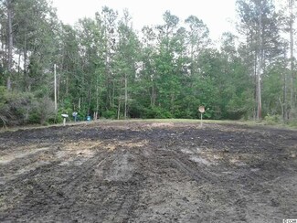 2054 Tomahawk St, Hemingway, SC 29554