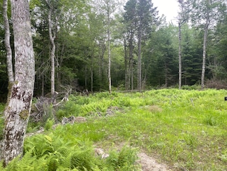 53 Woodland Dr, Trenton, ME 04605