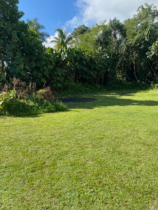 15-2714 Opakapaka St, Hawaiian Beaches, HI 96778
