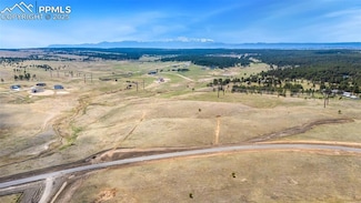 10957 Alamar Way, Black Forest, CO 80908