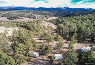 000 Twinkle Rd, Guffey, CO 80820