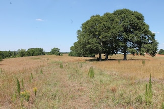 0 Sandy Creek Rd Unit 21155251, Madison, GA 30650