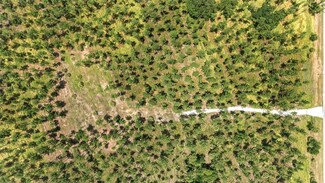 Lot 3 NE 90th Street Rd, Silver Springs, FL 34488