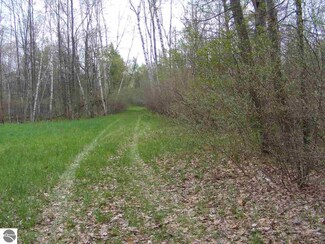 UNIT 12 Half Moon Lake Dr, Stanton, MI 48888