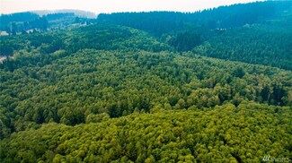 0 Rotschy Mill Rd Unit 1192217, Yacolt, WA 98675