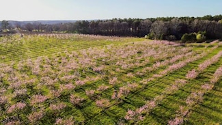 14 Kristy Ln, Ashland, GA 30521