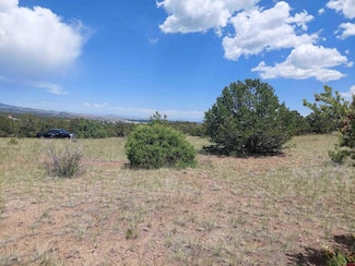 397 Rainbow Trail, South Fork, CO 81154