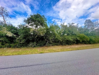 TBD SW 35th Court Rd Unit Lot 09, Ocala, FL 34473