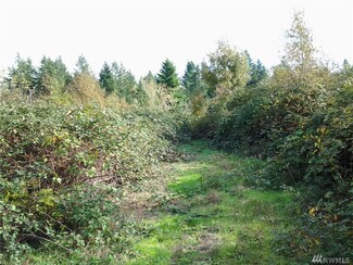 6505 180th Avenue Kp S, Longbranch, WA 98351