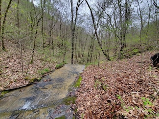 6004 Old Hohenwald Rd, Linden, TN 37096