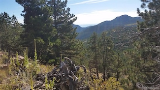 32778 Janelle Ln, Golden, CO 80403