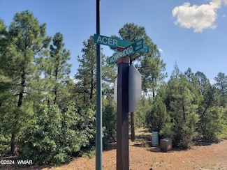 4750 W Acer Ln, Show Low, AZ 85901