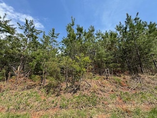 0 Stage Rd Unit 1 57123, Concord, VA 24538