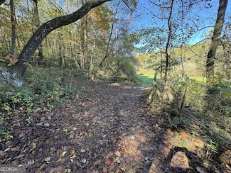 0 Saffron Ln Unit 10631323, Blue Ridge, GA 30513