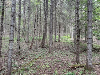 0 State Route 3, Sugarbush, NY 12981