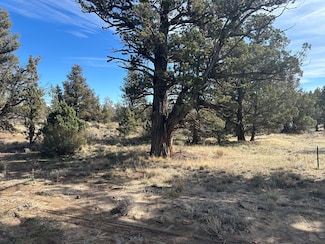 0 SE Renegade Loop Unit Lot 2, Prineville, OR 97754