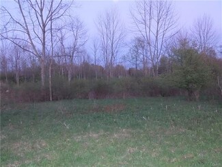 Lot 20 Cogar Dr, Schuyler, NY 13340