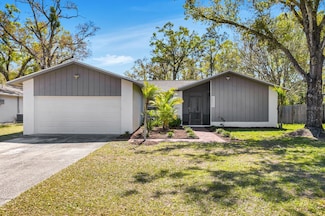 2425 Blind Pond Ave, Lutz, FL 33549