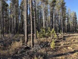 0 Artesian Dr Unit 3007528, Chiloquin, OR 97624