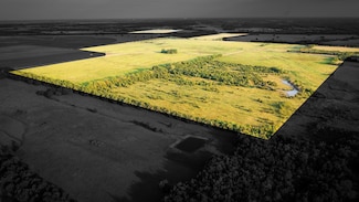 0 Tbd County Road 24800, Brookston, TX 75421