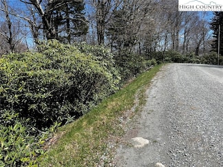 117 Wild Daisy Ln, Beech Mountain, NC 28604