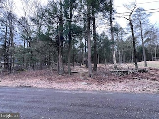 6 Poplar Ln, Lake Harmony, PA 18624