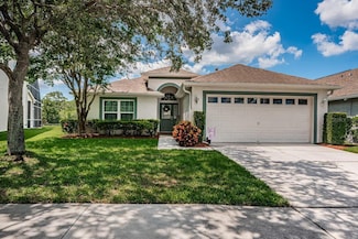 11246 Cypress Reserve Dr, Tampa, FL 33626