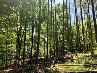 TBD Old Queens Hwy, Kerhonkson, NY 12446