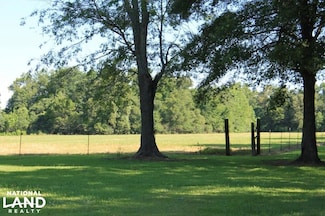 0 U S 80 Unit 17144703, Delhi, LA
