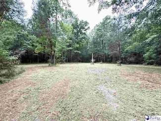 840 Lake City Hwy, Johnsonville, SC 29555