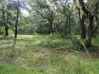 00 Greenwood Ave, Welaka, FL 32193