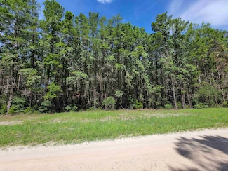 000 S Gulf Manor Dr, Perry, FL 32348