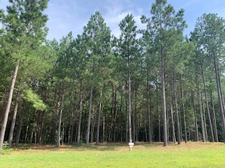 5140 Crockett Point, Jasper, TN 37347