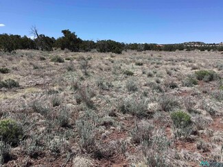 TBD Palomino Loop, Jamestown, NM 87347