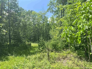 TBD 40 Acres Wilderness Trail, Crystal Falls, MI 49920