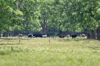 2640 County Road 107, Boling, TX 77420