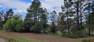 30 High Dr, Pagosa Springs, CO 81147